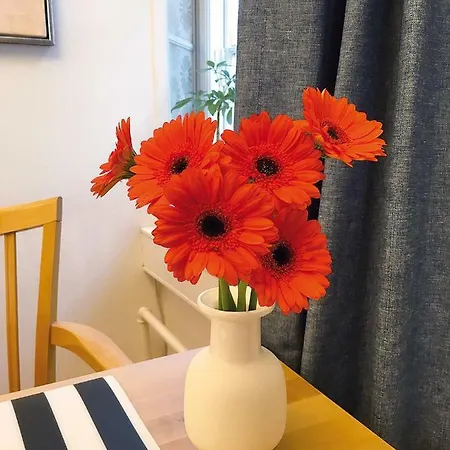 & In Apartment *